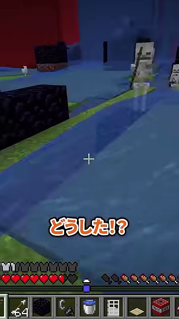 マイクラの城の水路にスケルトンが立ち、どうしたという字幕が出る縦画面