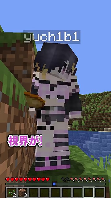 川辺のゆうちびに近づいたマイクラ画面で視界がという字幕が出る場面