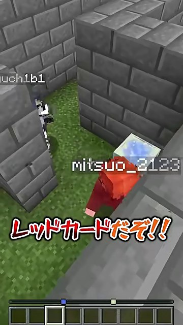 石壁の迷路の通路で、赤く表示されたみつおさんとゆうちびさん、レッドカードの字幕が映る場面