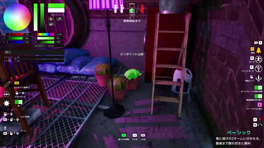 梯子のそばの植物状の姿と色設定が映るゲーム画面
