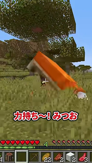 マイクラの画面を大きなオレンジ色の持ち物が横切り、みつおを呼ぶ字幕が出る場面
