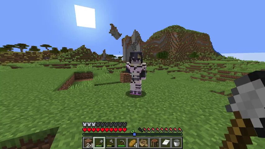 マインクラフトの草地で、山田視点の画面にゆうちびのキャラクターが正面から映る場面