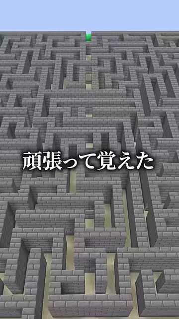上から見た巨大な石の迷路と『頑張って覚えた』の字幕