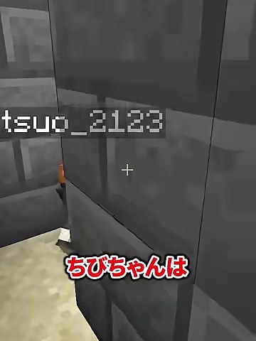 マイクラの石壁の角に、小さくなったみつおと名前表示が見える場面