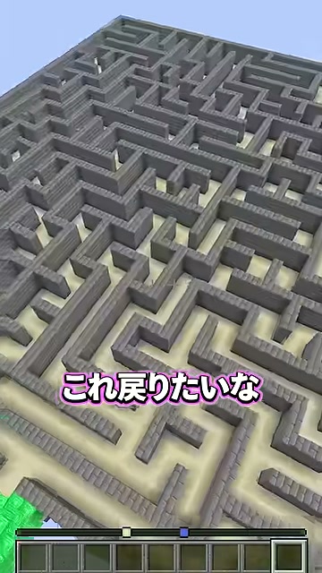 上空から見た石造りの巨大迷路