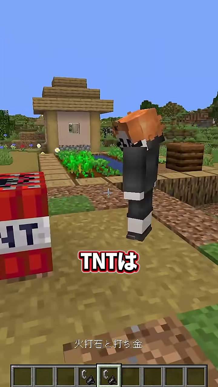 村の道でみつおの隣にTNTが一つ置かれ『TNTは』の字幕が出る場面