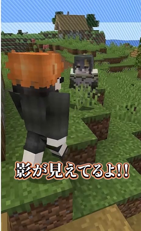 草むらを挟んで向き合うマイクラキャラクターと「影が見えてるよ!!」の字幕
