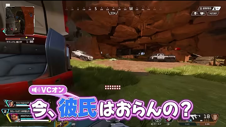 APEXの岩場を移動する画面に『今、彼氏はおらんの？』の字幕が出る場面