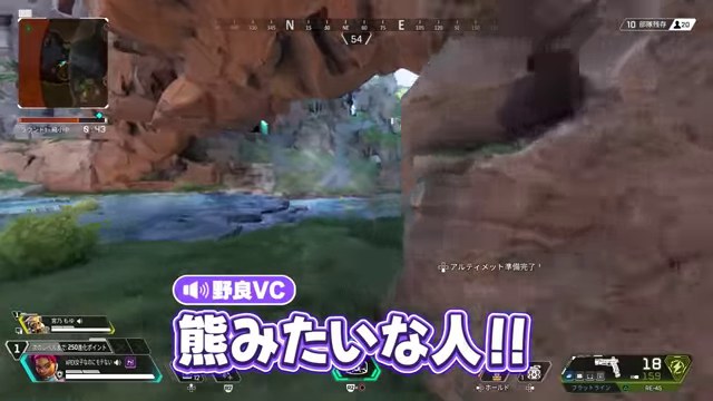 APEXの岩場を移動しながら『熊みたいな人!!』と話す字幕が出た場面
