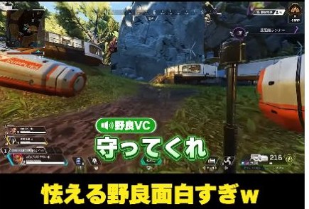 Apexの森の画面と『守ってくれ』の字幕