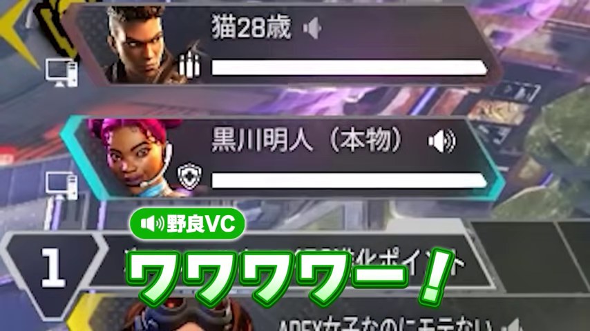 相手の表示名が映り、本物ですかというやりとりが始まるApex画面