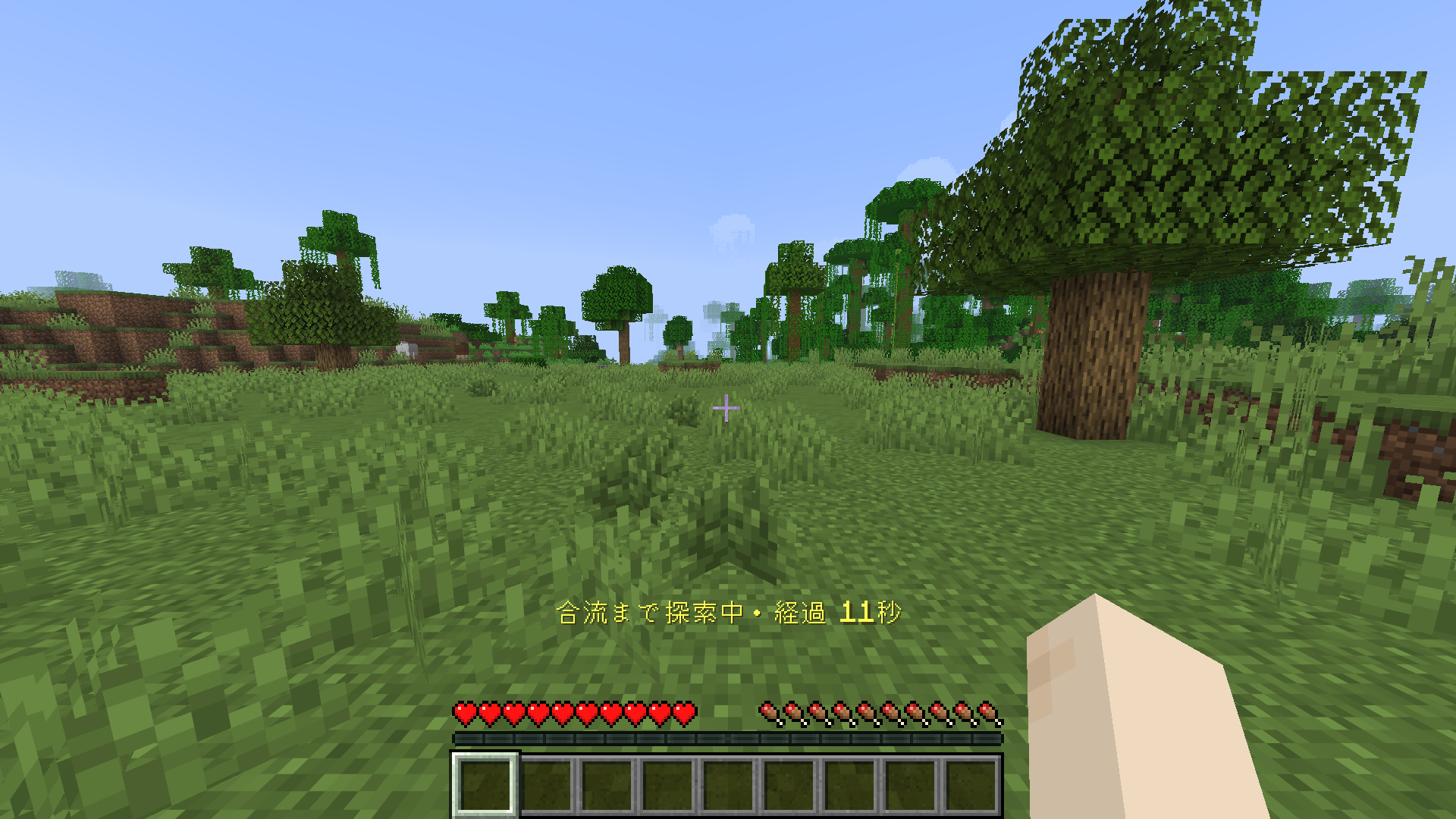 Java版Minecraftの自然生成された草地で、合流まで探索中の経過時間が表示された実ゲーム画面